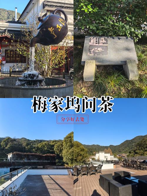 上海品茶好去处_上海品茶地方_上海品茶哪里好