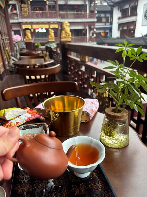 上海品茶哪里好_上海品茶地方_上海品茶好去处