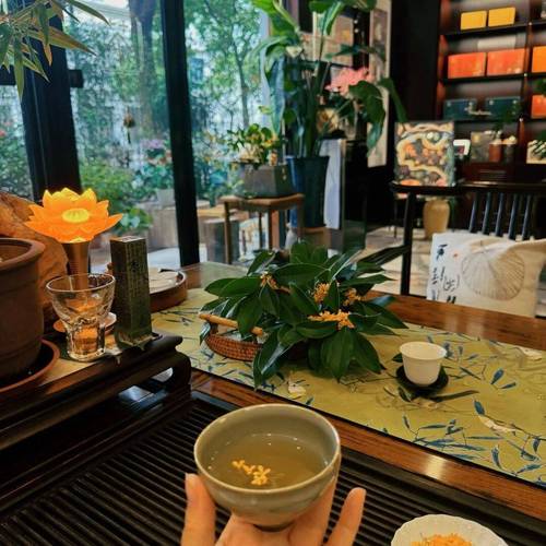 上海品茶消费低一点的_上海品茶推荐_上海低价品茶