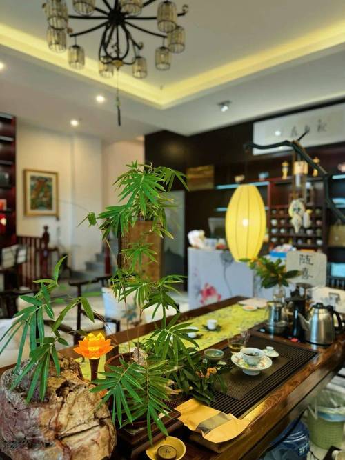 上海品茶消费低一点的_上海品茶推荐_上海低价品茶